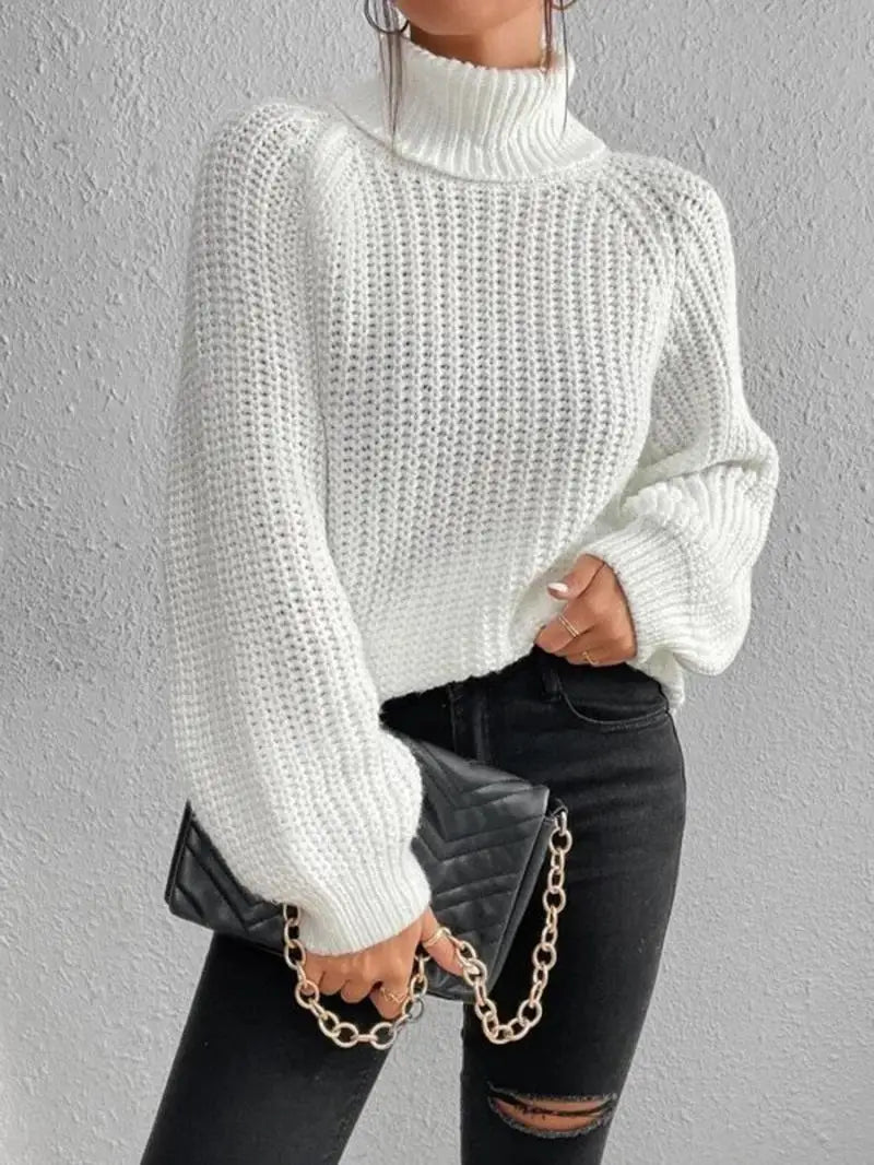 QueenStrick Turtleneck sweater